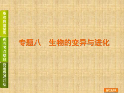 高考生物二轮复习(浙江专用)：专题八生物的变异与进化精品名师课件