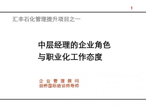中层经理的企业角色与职业化工作态度ppt课件