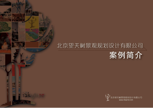 北京望天树景观规划设计 项目案例
