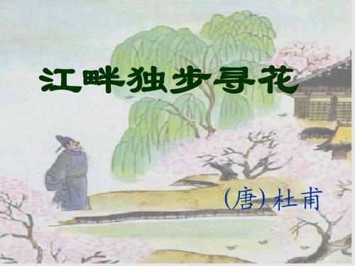 江畔独步寻花_课件