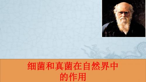 人教版初中生物八年级上册：5.4.4《细菌和真菌在自然界中的作用》(8)(22)