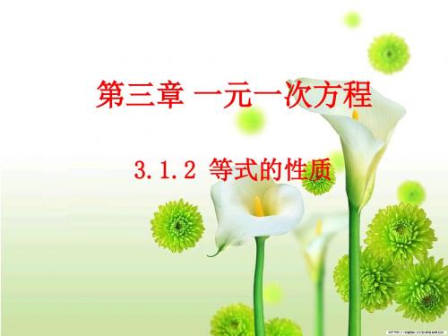3.1.2等式的性质