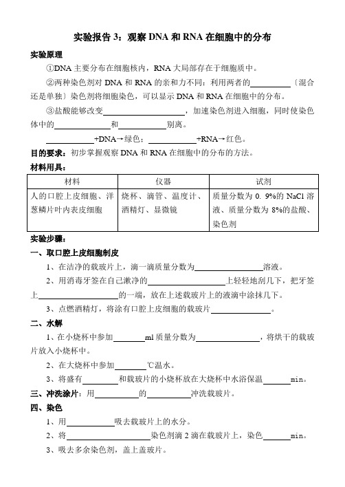 实验报告观察DNA和RNA在细胞中的分布
