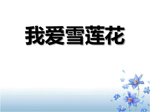 《我爱雪莲花》PPT课件