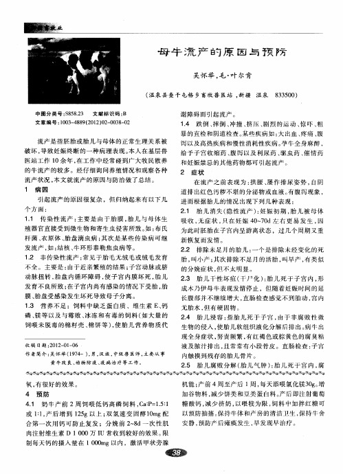 母牛流产的原因与预防