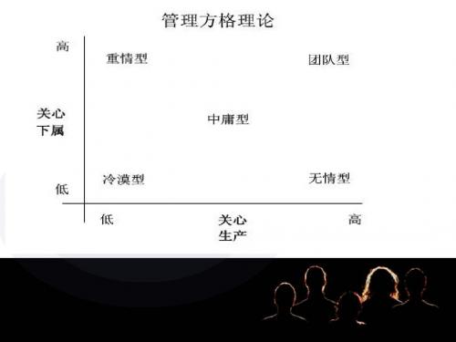 领导风格