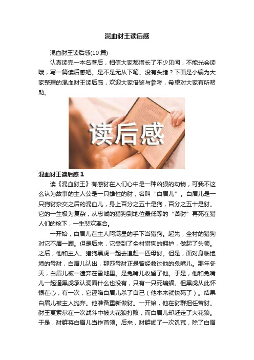 混血豺王读后感