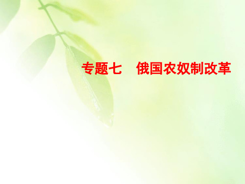 2019-2020学年人民版高中历史选修一课件：7-1 危机笼罩下的俄国