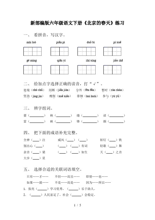 新部编版六年级语文下册《北京的春天》练习