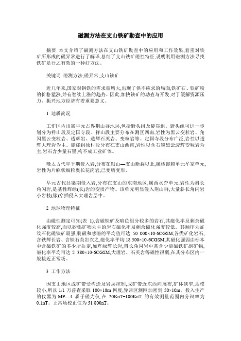 磁测方法在支山铁矿勘查中的应用