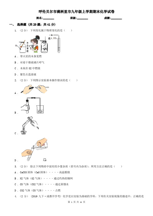 呼伦贝尔市满洲里市九年级上学期期末化学试卷