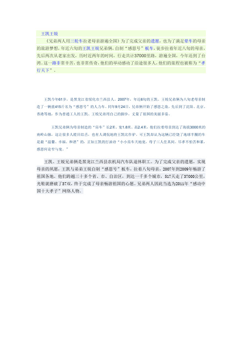 王凯的简介