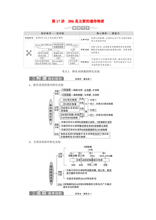 2021版新高考生物 第六单元 遗传的物质基础 第17讲 DNA是主要的遗传物质学案 新人教版.doc