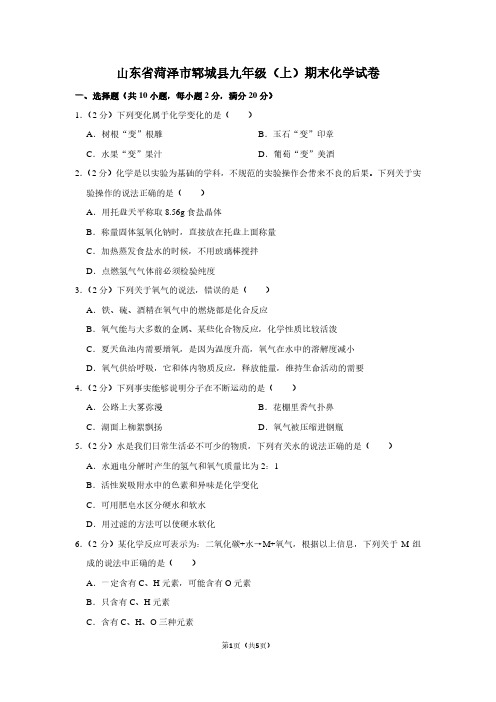 山东省菏泽市郓城县九年级(上)期末化学试卷 (2)