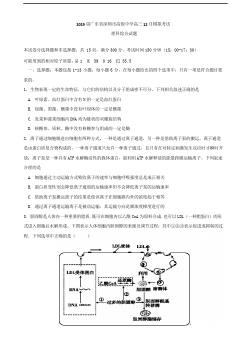 2019届广东省深圳市高级中学高三12月模拟考试理科综合试题