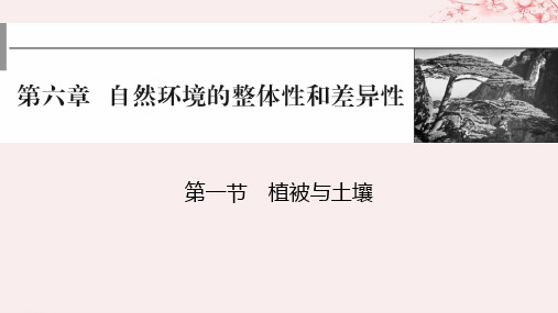 2024版高考地理一轮第一部分自然地理第六章自然环境的整体性与差异性第一节植被与土壤