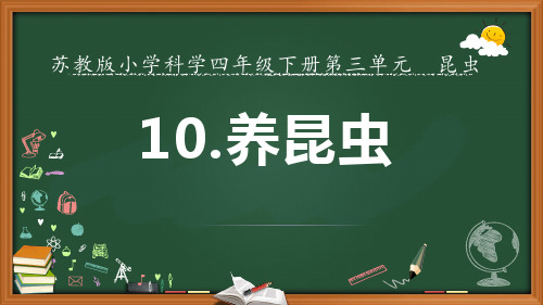 苏教版小学科学四年级下册10.养昆虫(教学课件)