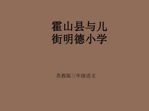 苏教版三年级下册《菩萨兵》PPT课件4