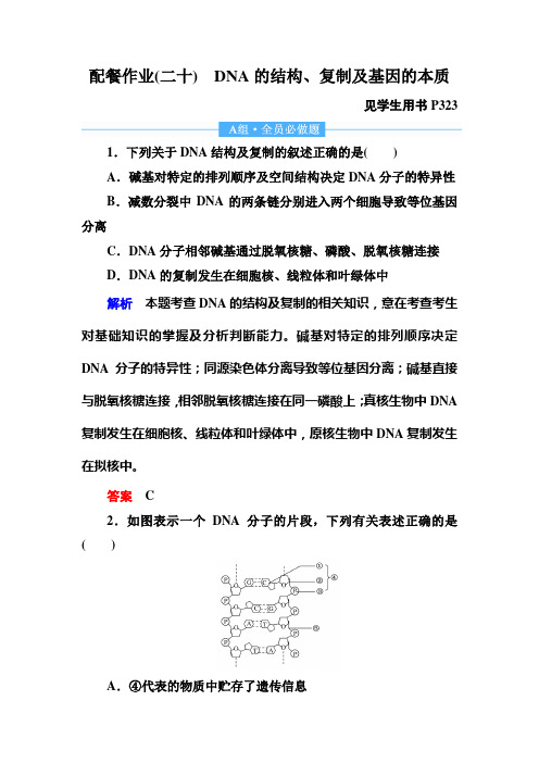 2020高考生物一轮复习配餐作业20 DNA的结构、复制及基因的本质