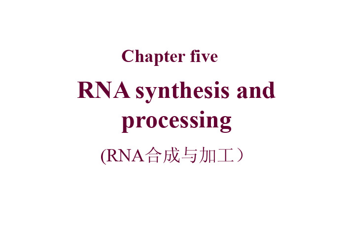 Chapter_5_I__RNA_synthesis_and_processing_20131111_