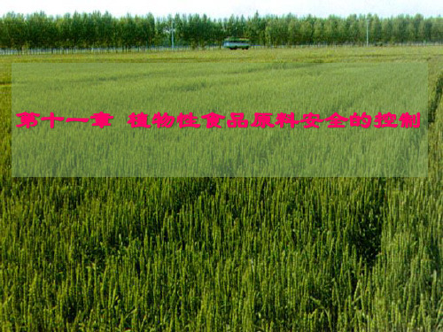 第十一章植物性食品原料安全的控制
