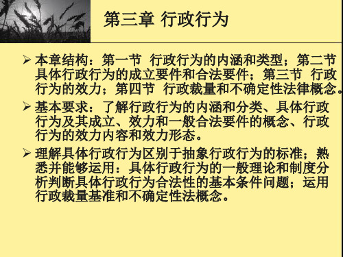 行政法与行政诉讼法09第三章