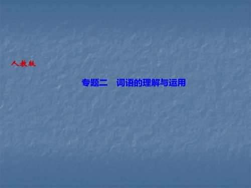 2019秋人教部编版九年级语文上册作业课件：专题二 词语的理解与运用(共12张PPT)