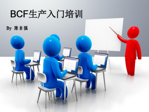 BCF入门培训