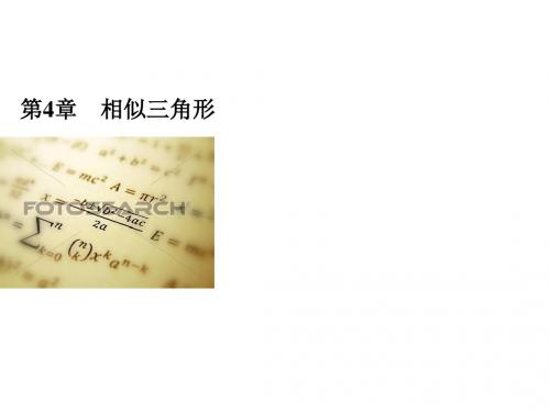 浙教版九年级数学上册习题课件：课时训练 4.1 比例线段  第二课时