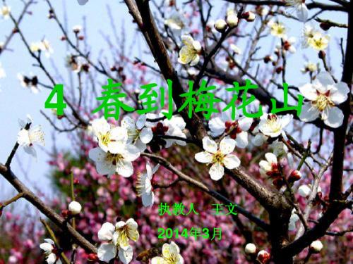 苏教版一年级下册《春到梅花山》课件