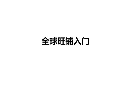 全球旺铺入门