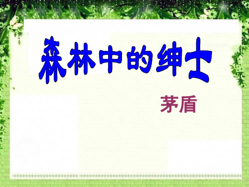 森林中的绅士教学PPT课件2