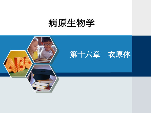 病原生物学 教程 ppt课件第十六章   衣原体