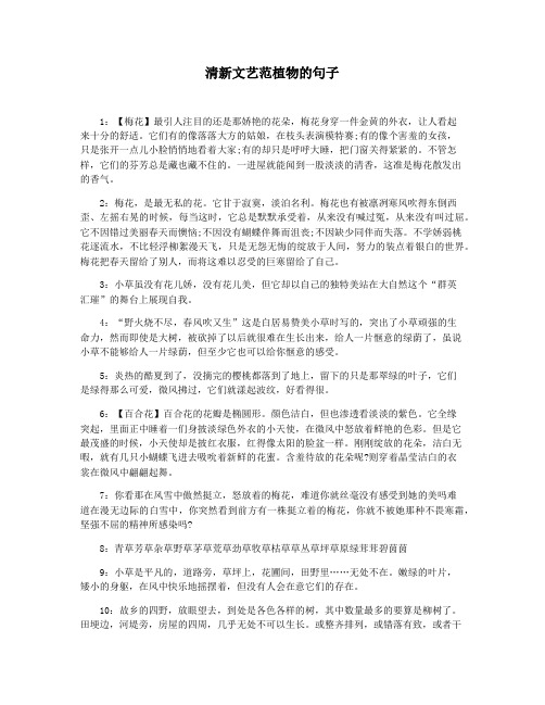 清新文艺范植物的句子