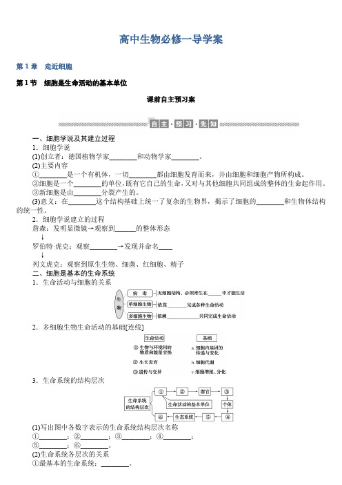 人教版新教材高中生物必修一导学案