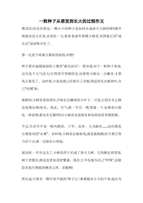 一粒种子从萌发到长大的过程作文