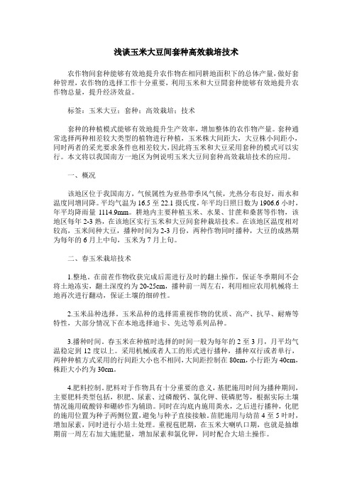 浅谈玉米大豆间套种高效栽培技术