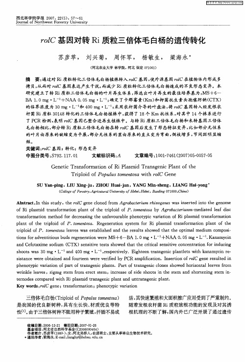 rolC基因对转Ri质粒三倍体毛白杨的遗传转化