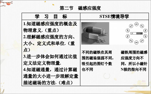 物理必修第三册-第二节 磁感应强度