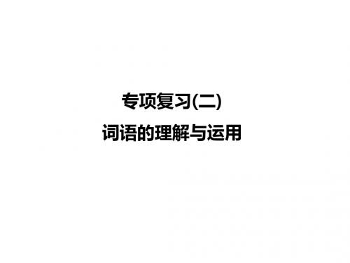 人教版九年级语文上册课件：专项复习(二) 词语的理解与运用