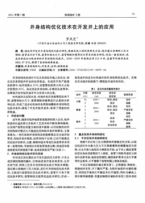 井身结构优化技术在开发井上的应用