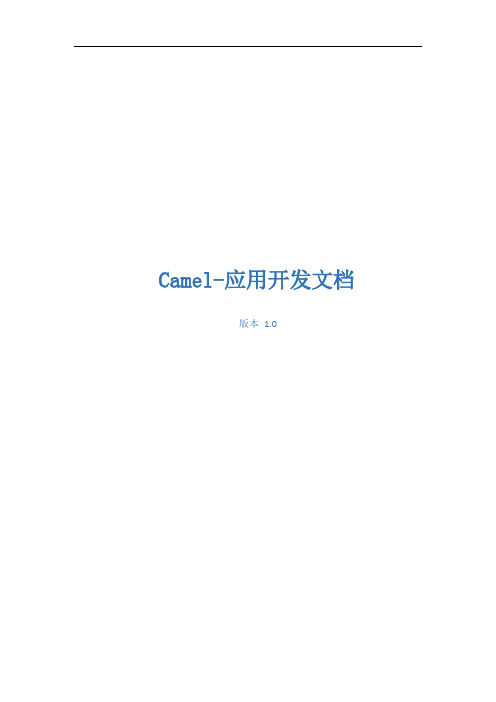 Camel_应用开发文档