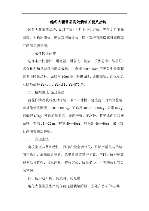 越冬大茬番茄高效栽培关键八措施