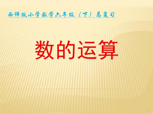 小学六年级《数的运算》整理与复习建议