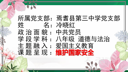 道法部编版八上《维护国家安全》优秀教学课件PPT