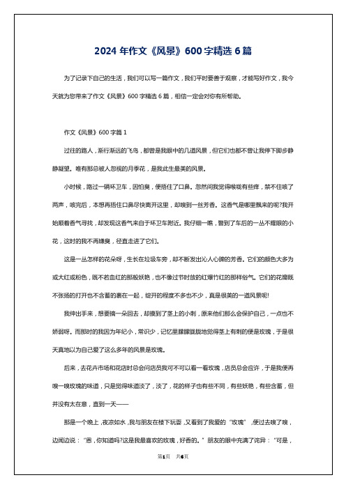 2024年作文《风景》600字精选6篇