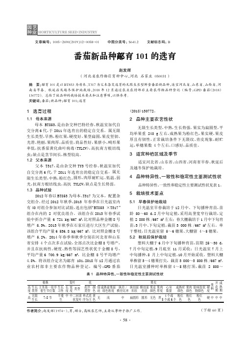 番茄新品种育101的选育