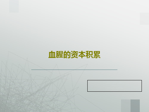 血腥的资本积累共30页PPT