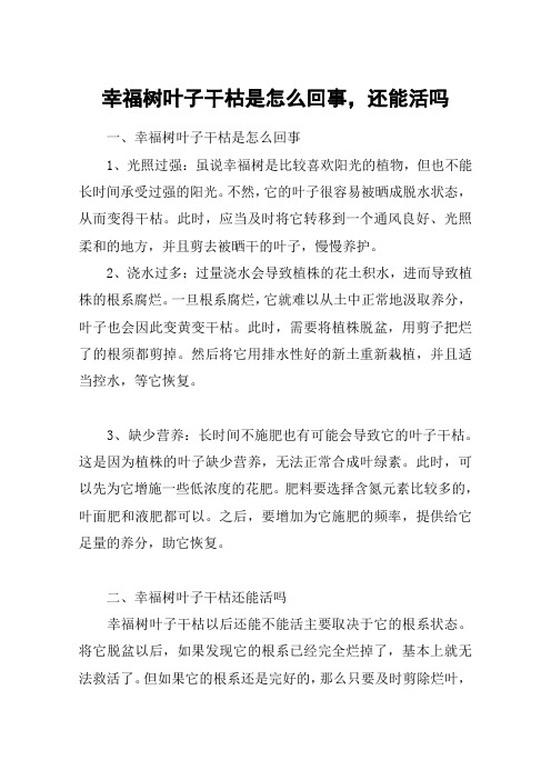 幸福树叶子干枯是怎么回事,还能活吗