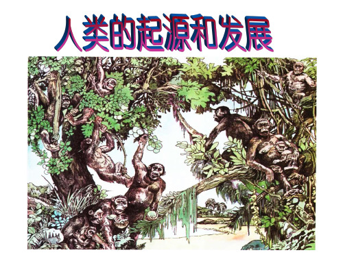 冀少儿版八年级下册生物《第六单元 生物的繁衍和发展 第三章 生物的起源与进化 第三节 人类的》课件